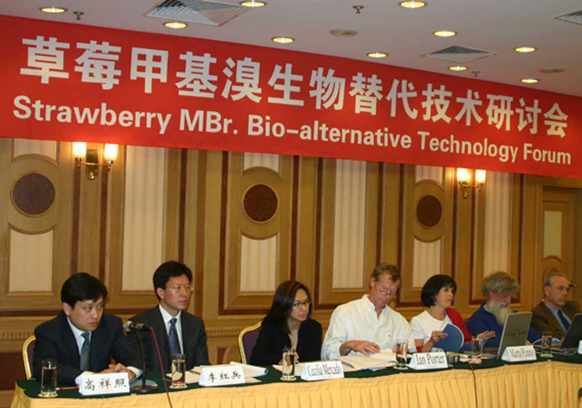 聯(lián)合國環(huán)境署、聯(lián)合國工發(fā)組織等機構出席了我公司舉行的草莓甲基溴生物替代技術研討會